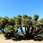 Napoleone Al Poggio - Argonautivacanze Lägenhet Poggio (Livorno)