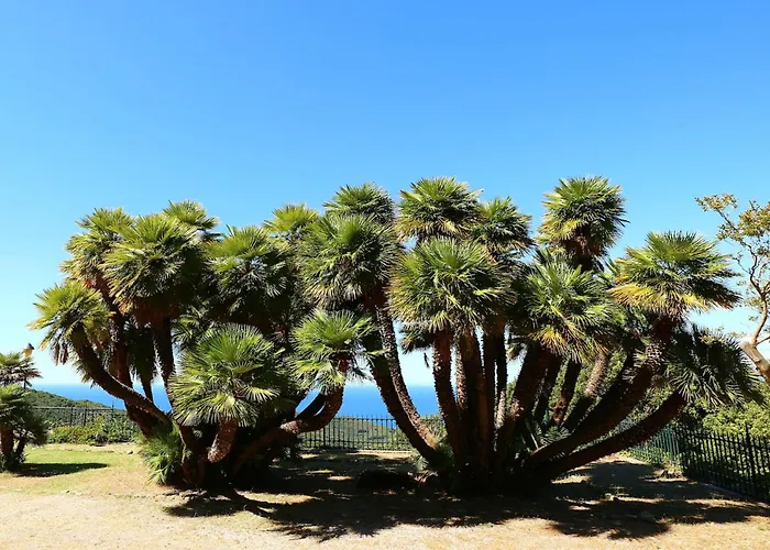 Napoleone Al Poggio - Argonautivacanze Appartement Poggio (Livorno)